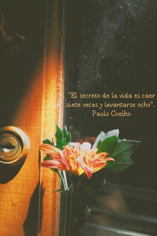 El secreto de la vida es caer siete veces y levantarse ocho