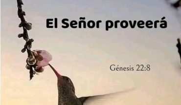El Señor proveerá. Genesis 22:8