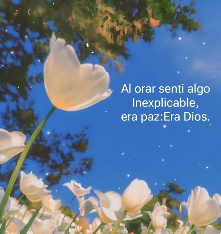 Al orar sentí algo inexplicable era paz: Era DIOS