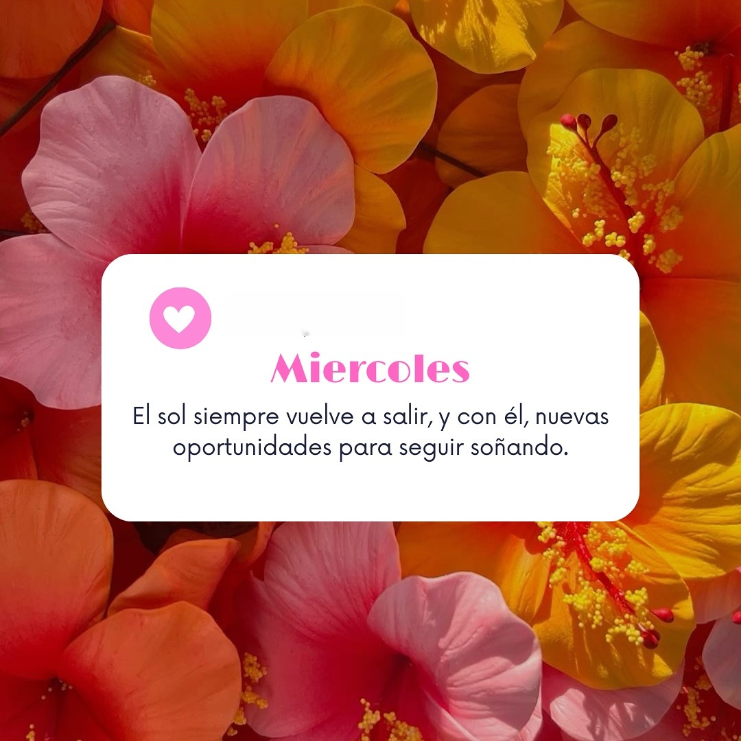 Miércoles El sol siempre vuelve a salir, y con él, nuevas oportunidades
