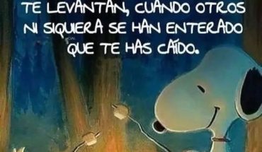 Los amigos de verdad son esas persona que te levantan