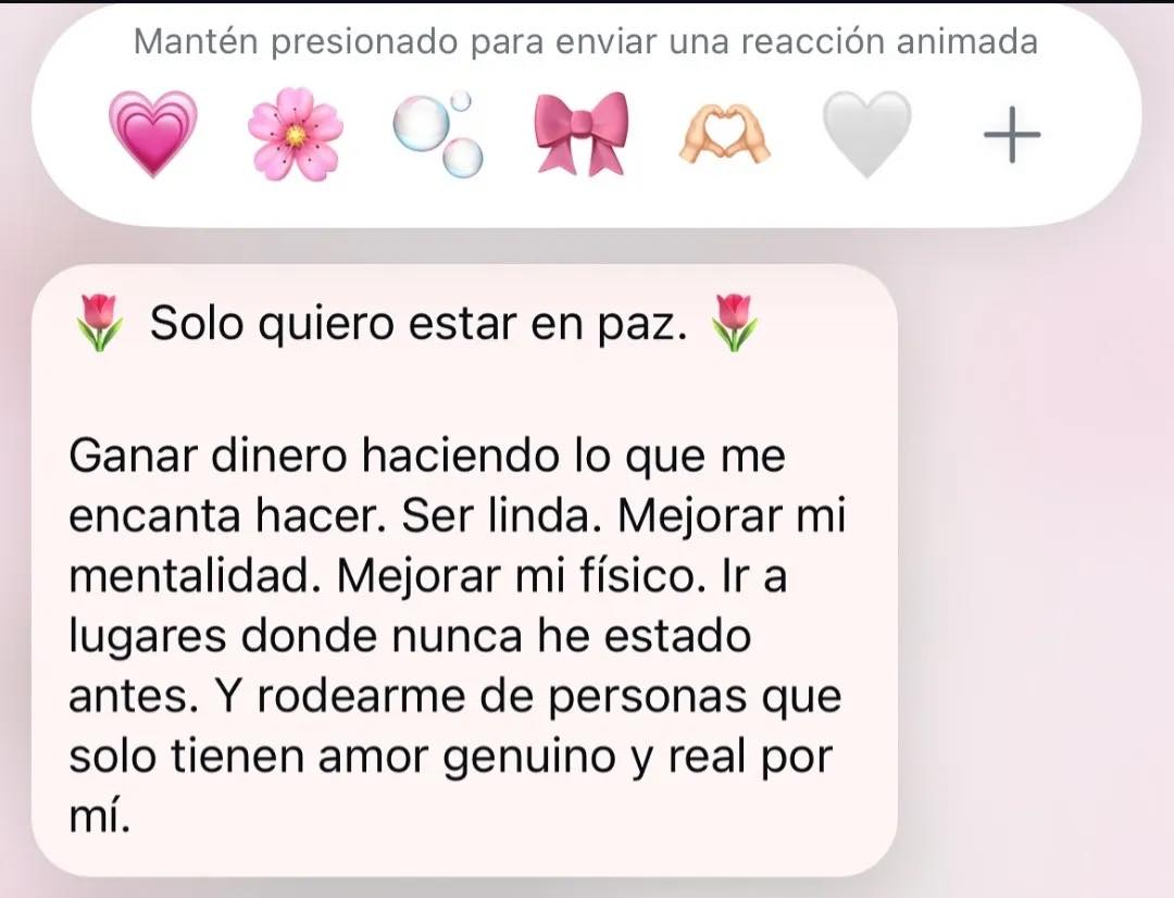 Solo quiero estar en paz. Ganar dinero haciendo lo que me encanta hacer