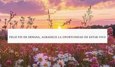 Feliz fin de semana, agradece la oportunidad de estar vivo