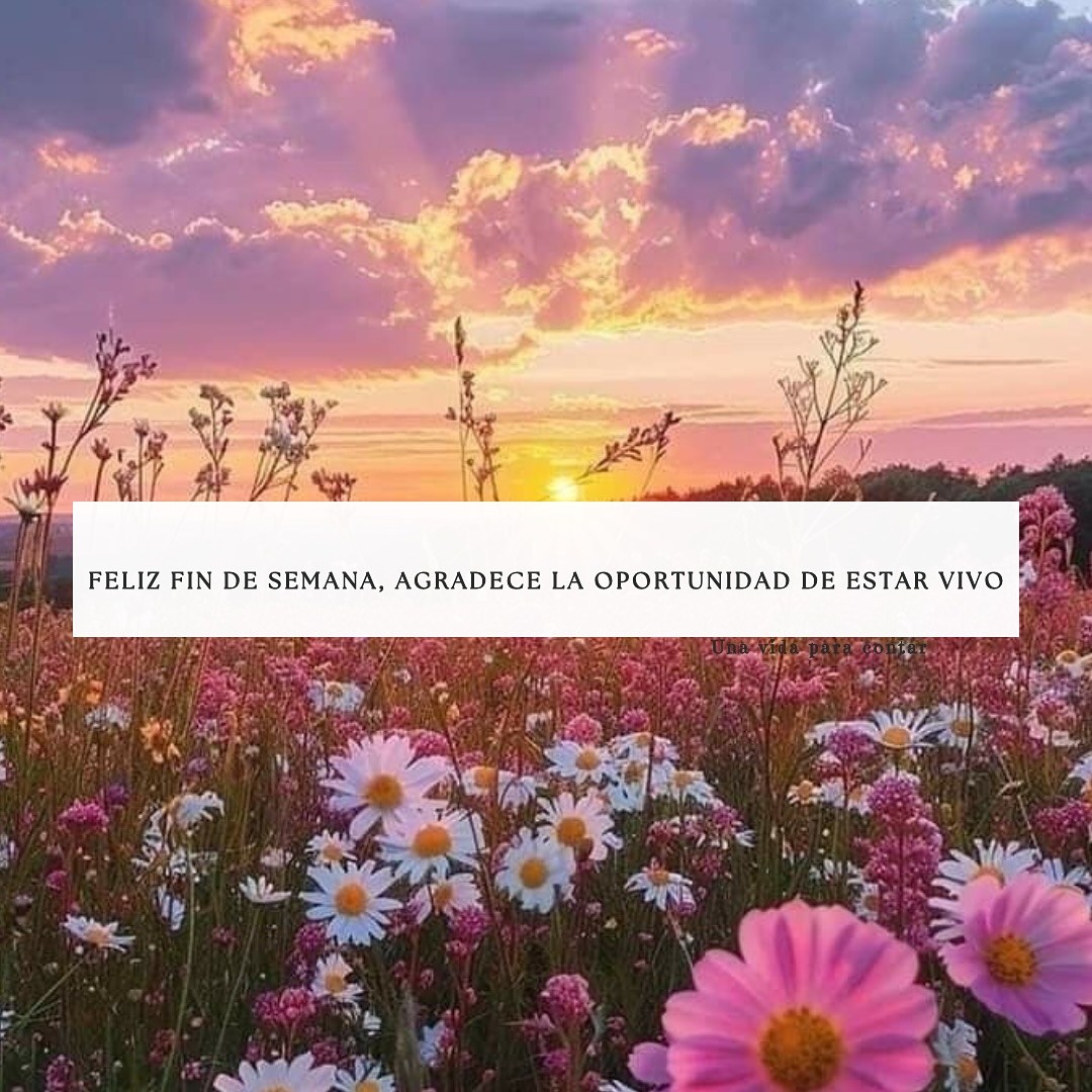 Feliz fin de semana, agradece la oportunidad de estar vivo