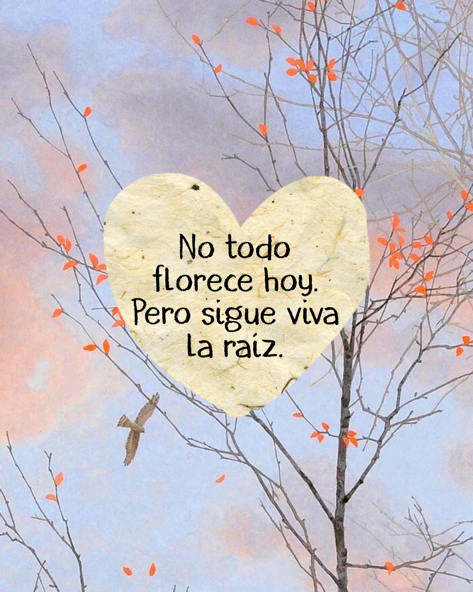 No todo florece hoy. Pero sigue viva la raíz