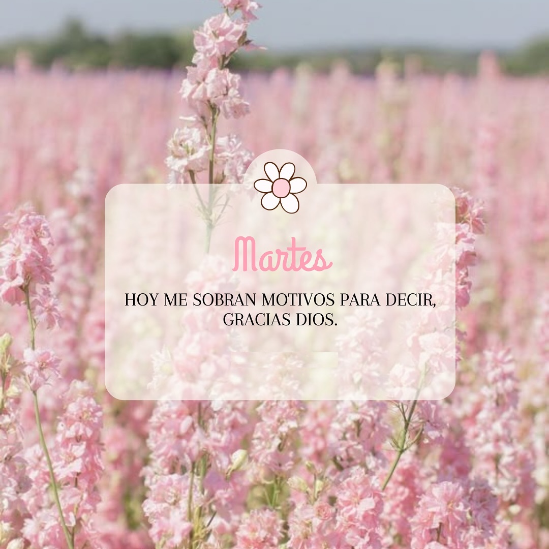 Martes Hoy me sobran motivos para decir, gracias Dios