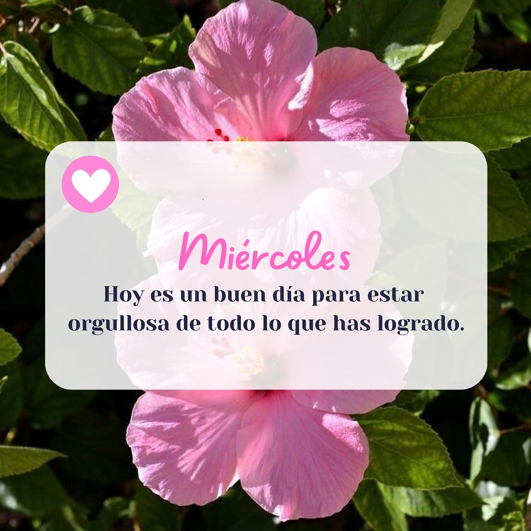 Miércoles Hoy es un buen día para estar orgullosa de todo lo que has logrado