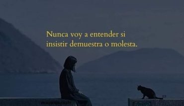 Nunca voy a entender si insiti demuestra o molesta