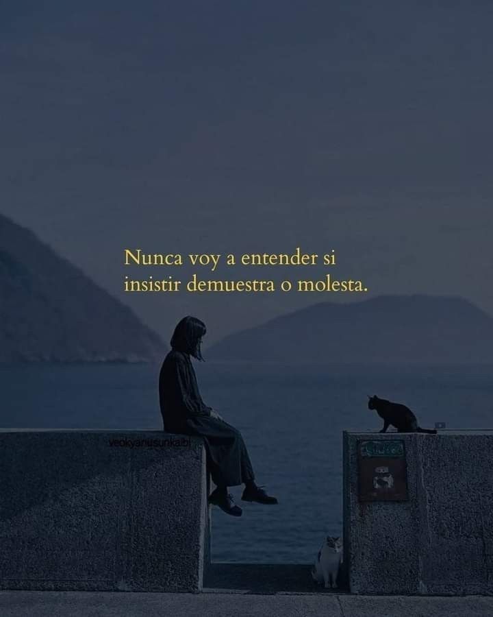 Nunca voy a entender si insiti demuestra o molesta
