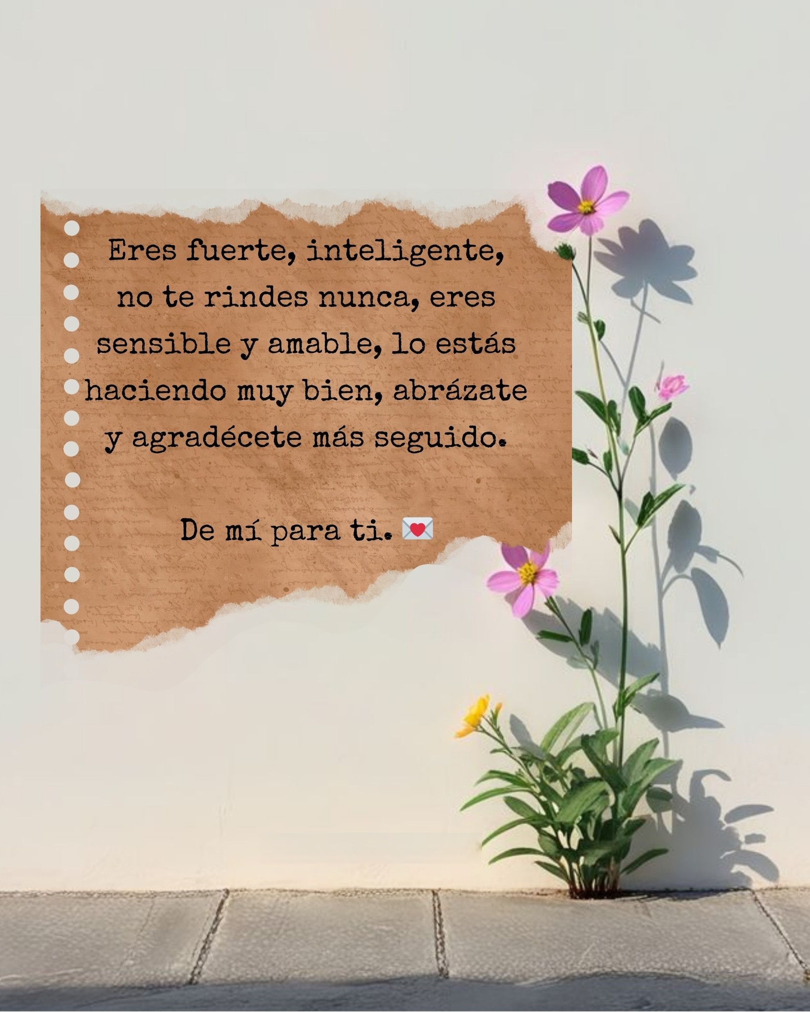 Eres fuerte, inteligente, no te rindas nunca, eres sensible y amable