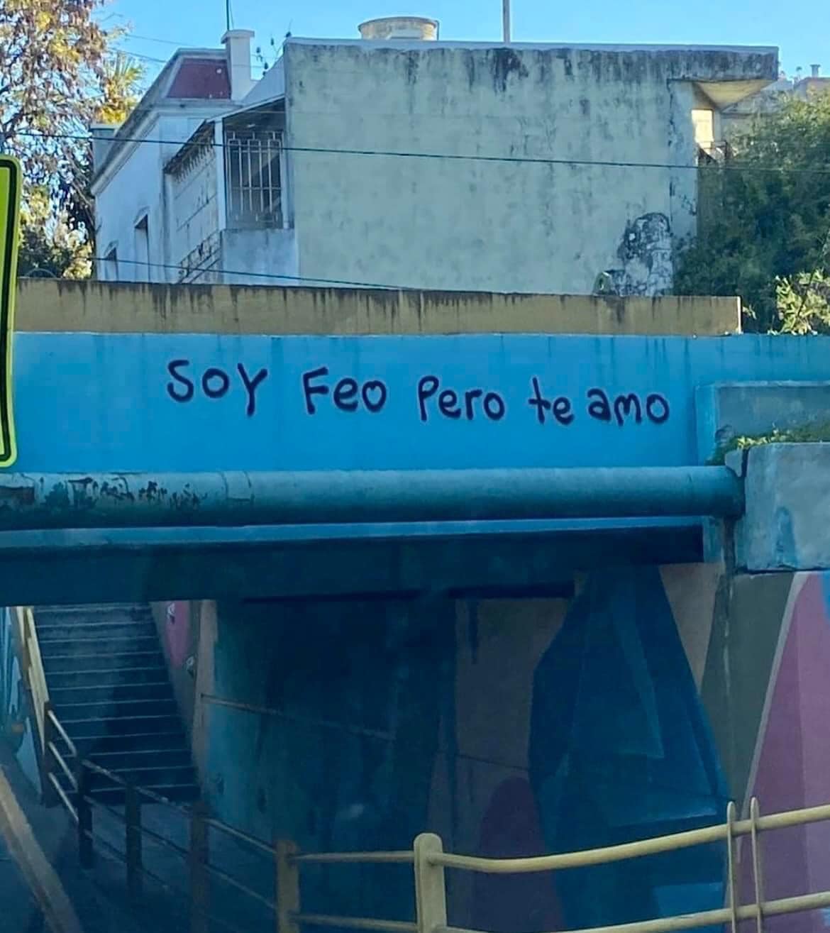 Soy feo pero te amo