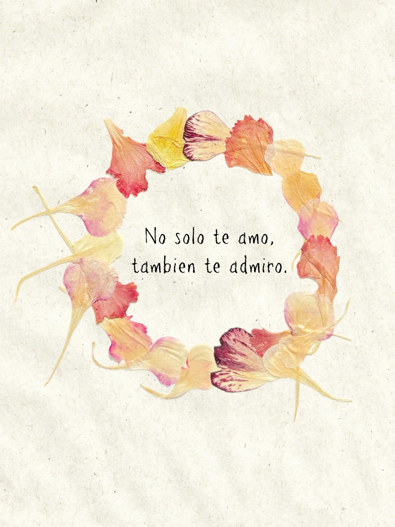 No solo te amo, tambien te admiro