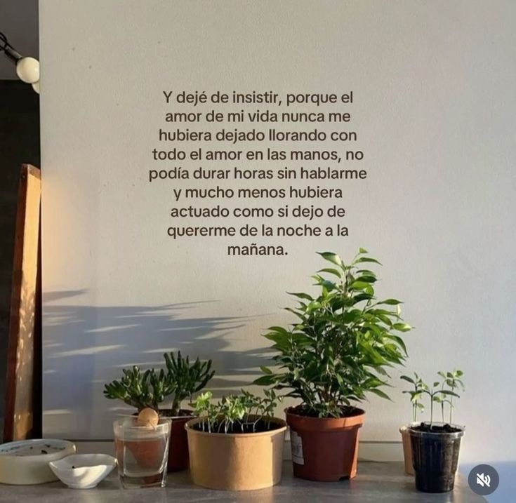Y deje de insistir porque el amor de mi vida nunca hubiera dejado llorando