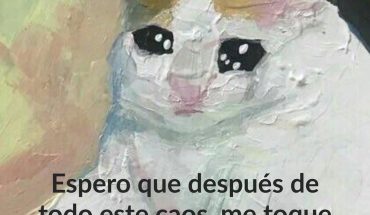 Espero que después de todo este caos, me toque vivir algo lindo y diferente