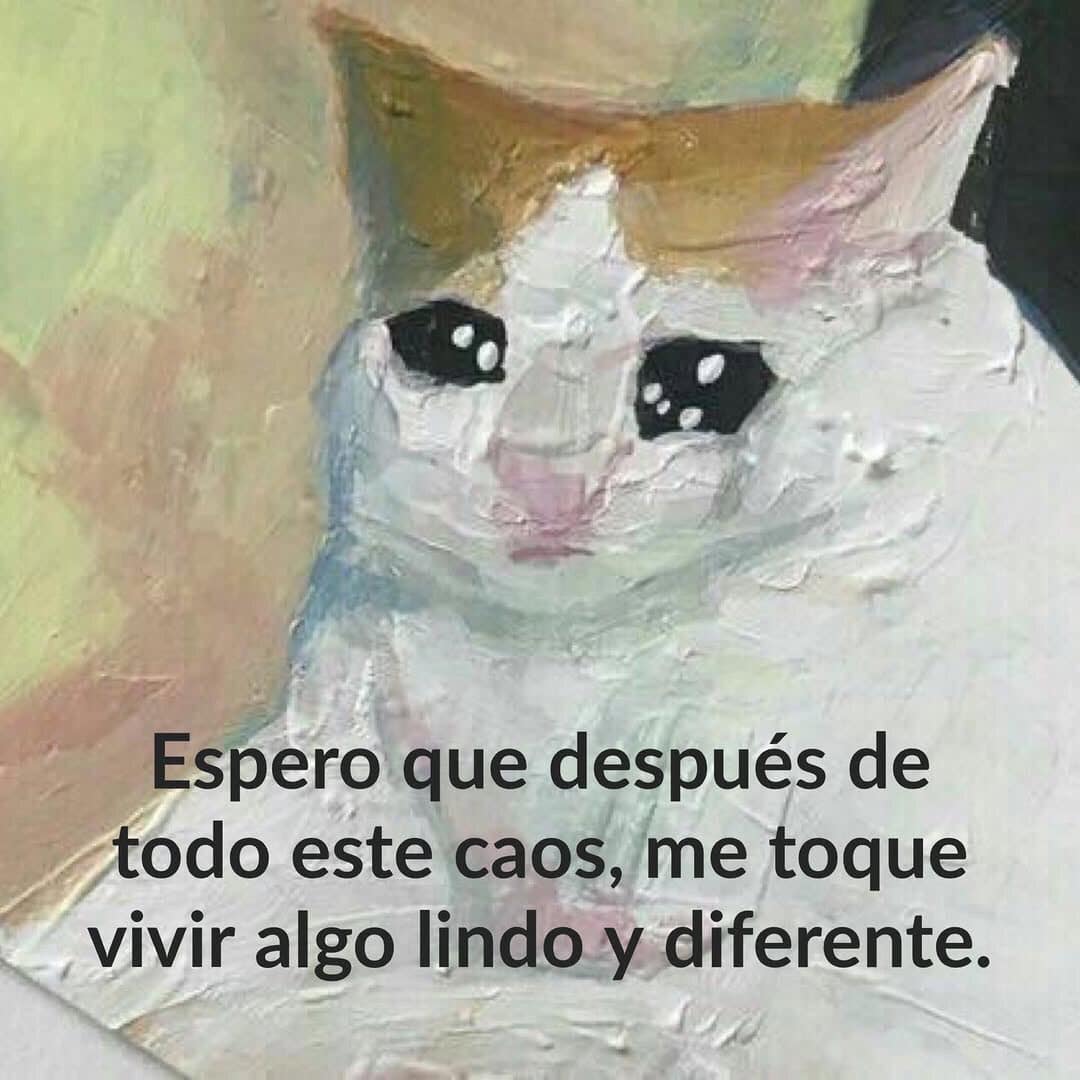 Espero que después de todo este caos, me toque vivir algo lindo y diferente