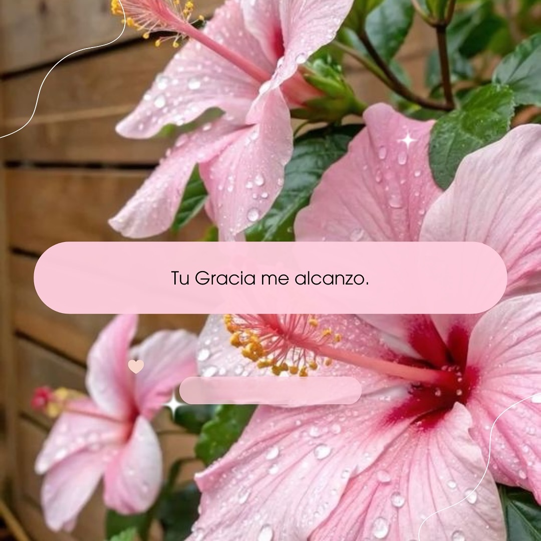 Tu gracias me alcanza