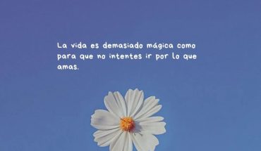 La vida es demasiado mágica como que no intentes ir por lo que amas