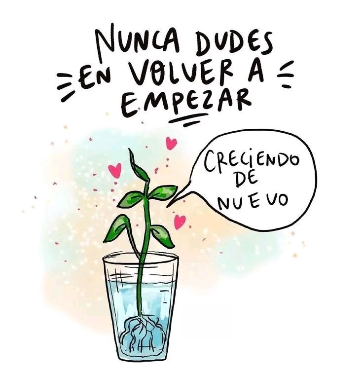Nunca dudes en volver a empezar