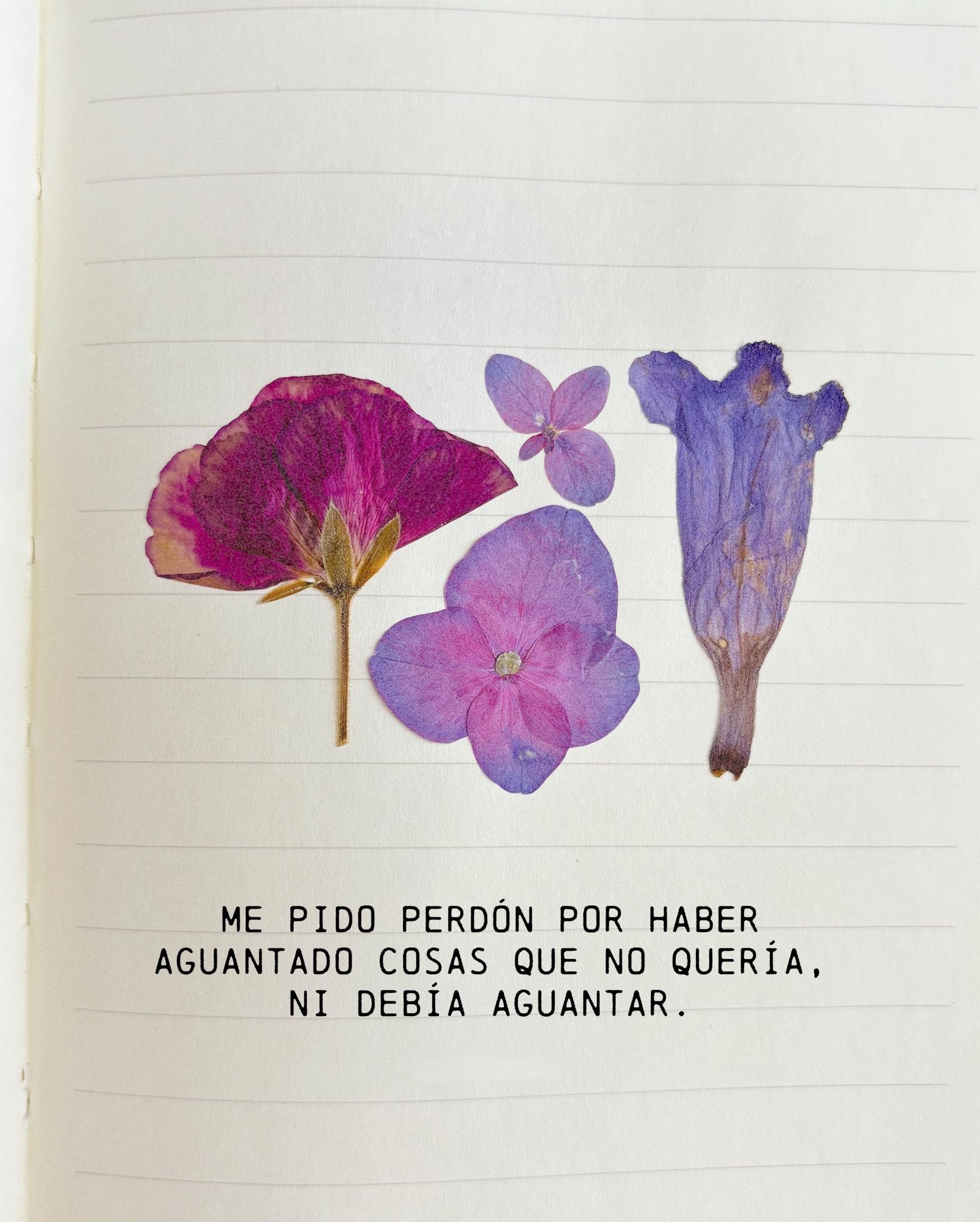 Me pido perdón por haber aguantado cosas que no quería, ni debia aguantar