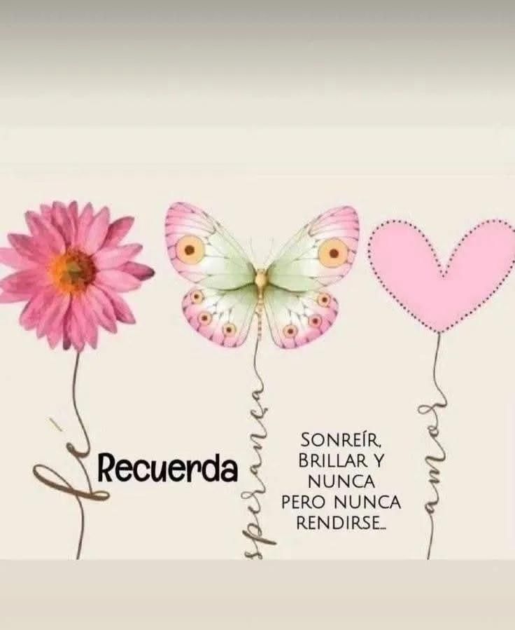 Recuerda Sonreír, brillar y nunca pero nunca rendirse