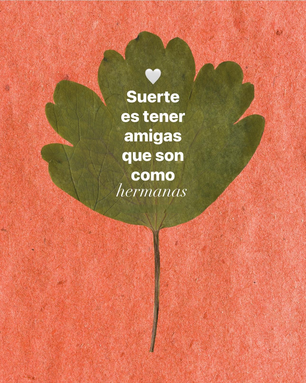 Suerte es tener amigas que son como hermanas
