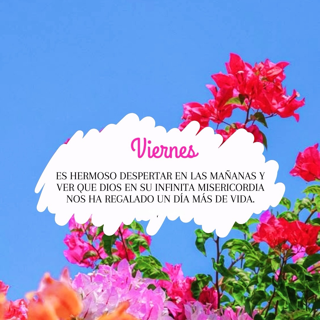 Viernes Es hermoso despertar en la mañanas