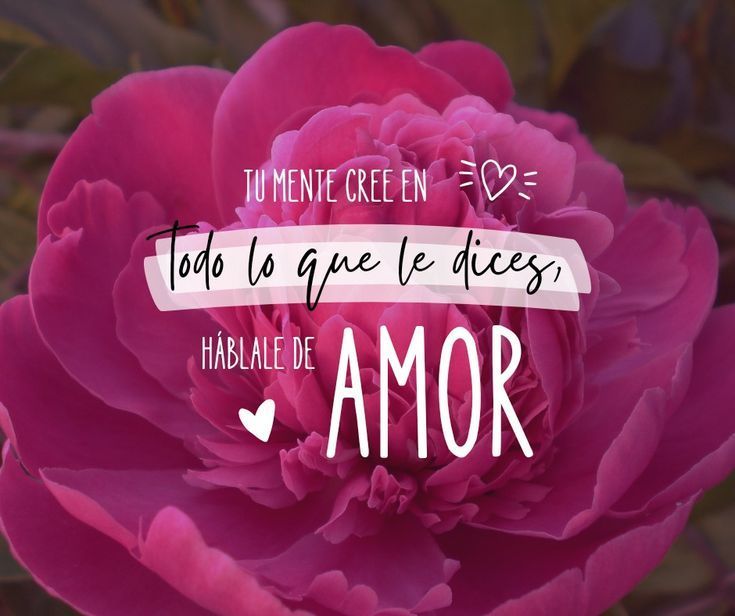 Tu mente cree en todo lo que le dices, hablale de amor