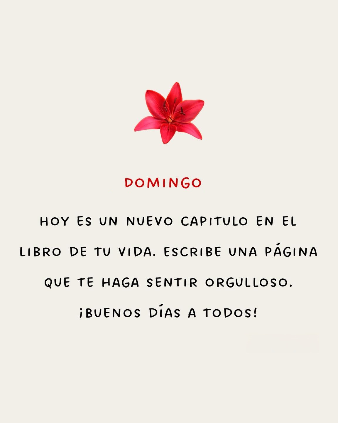 Domingo Hoy es un nuevo capítulo en el libro de tu vida