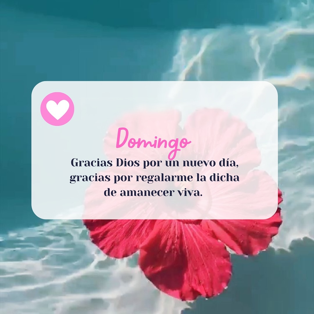 Domingo Gracias a Dios por un nuevo día