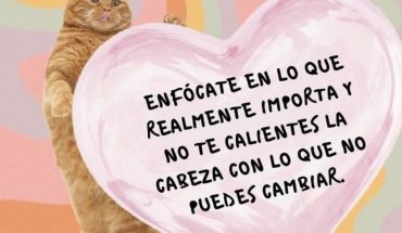 Enfócate en lo que realmente importa y no te calientes la careza con lo que no puedes cambiar