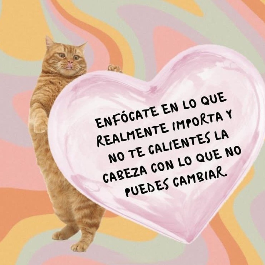 Enfócate en lo que realmente importa y no te calientes la careza con lo que no puedes cambiar