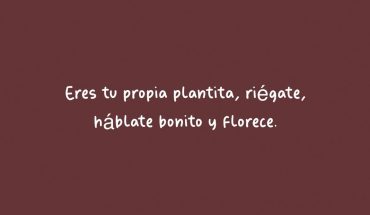 Eres tu propia planta, riégate, háblate bonito y florece