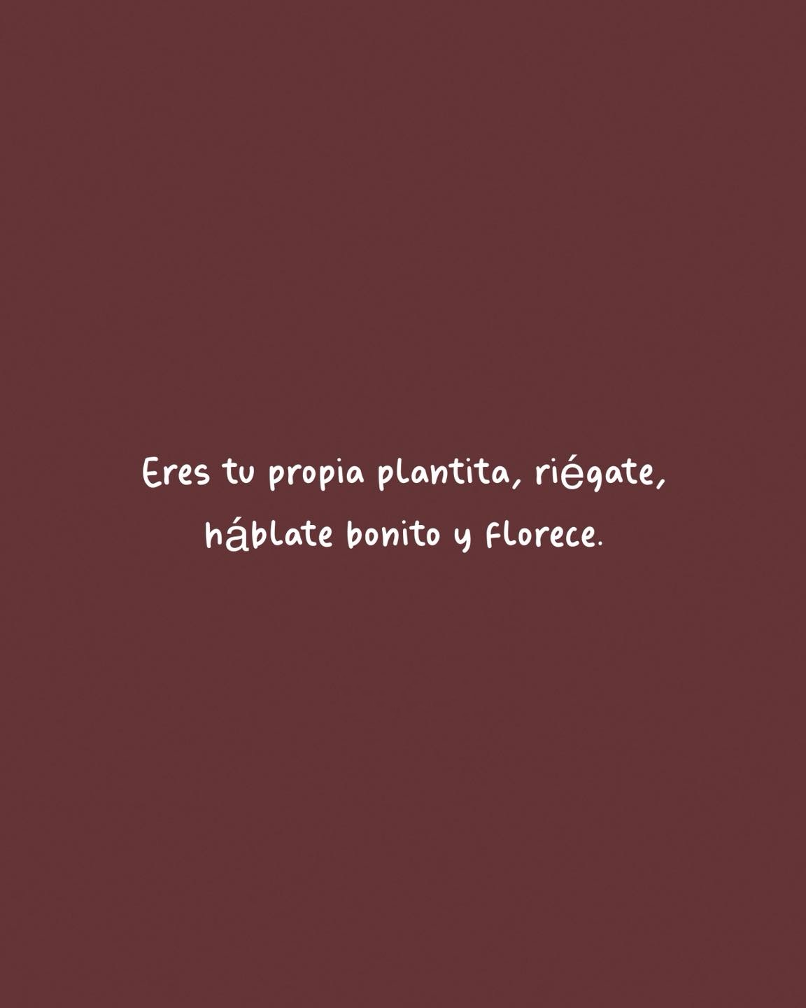 Eres tu propia planta, riégate, háblate bonito y florece