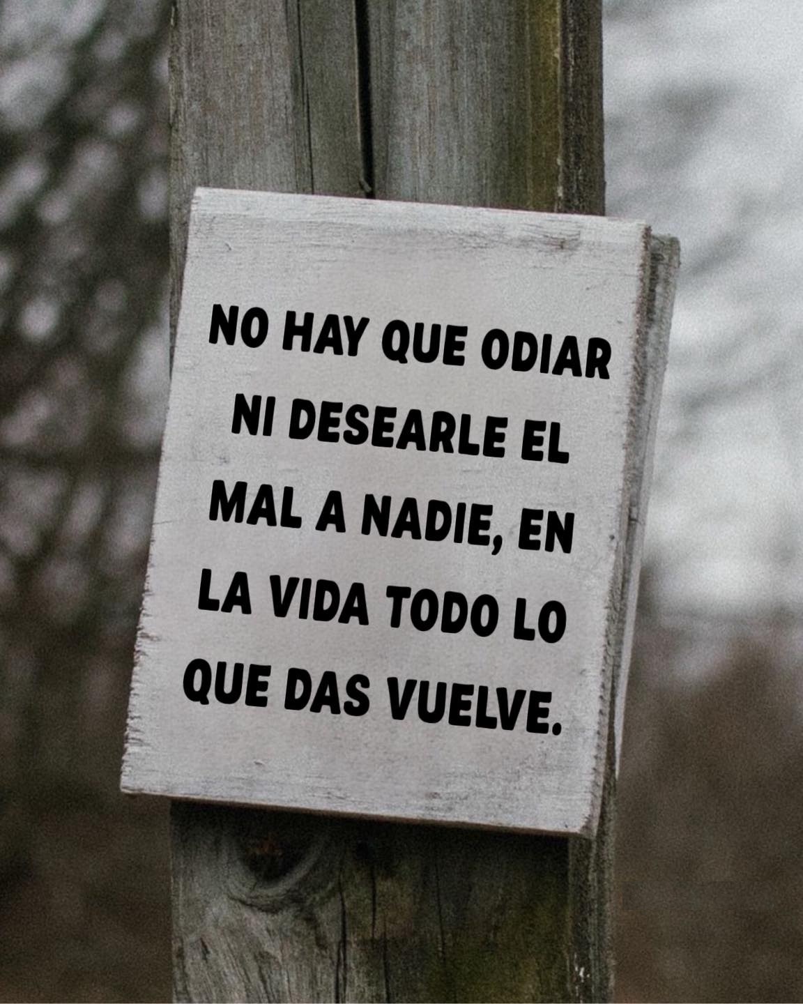 No hay que odiar ni desearle el mal a nadie, en la vida todo lo que das vuelve