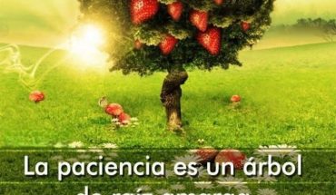 La paciencia es un árbol de raíz amarga pero de frutos muy dulces