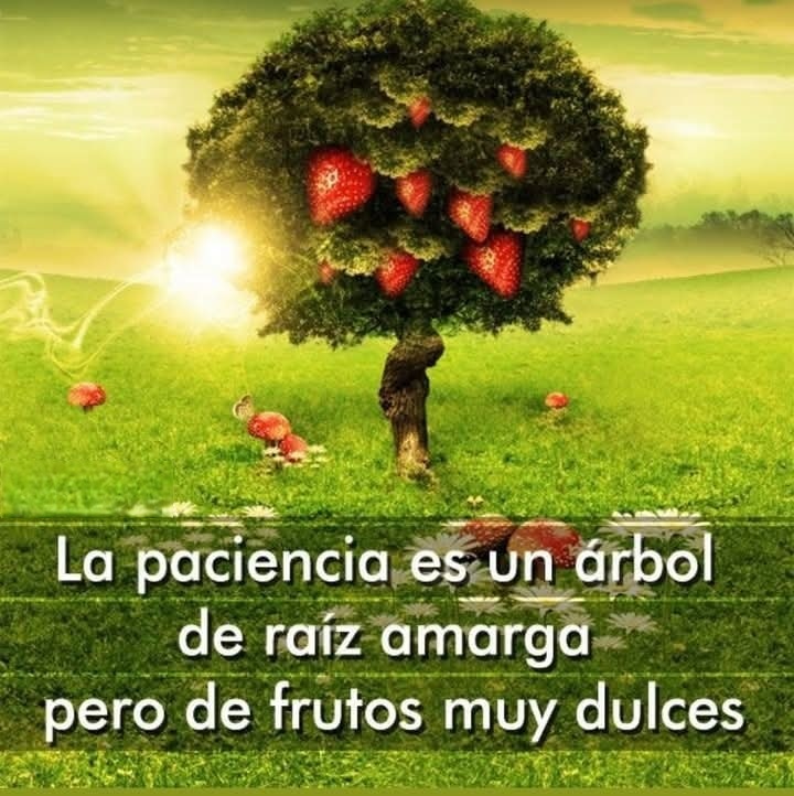 La paciencia es un árbol de raíz amarga pero de frutos muy dulces