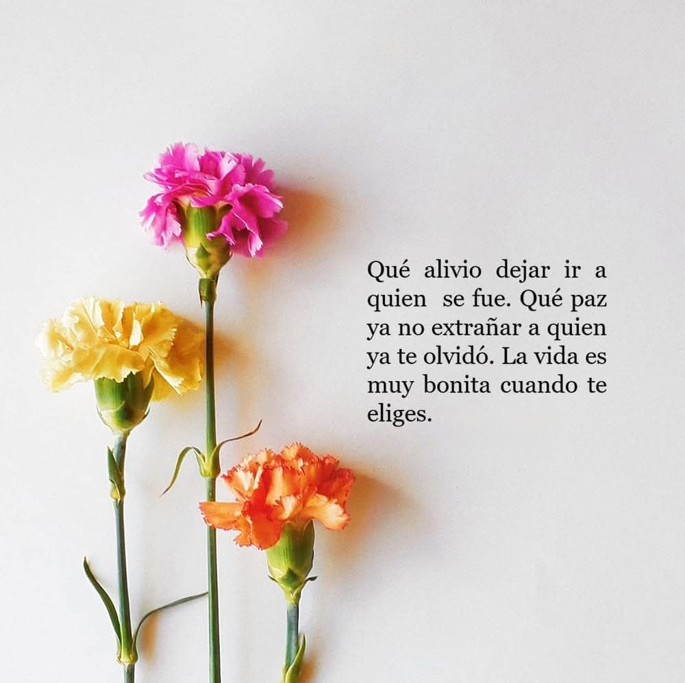 Que alivio dejar ir a quien se fue. Que paz ya ni extrañar a quien ya te olvido