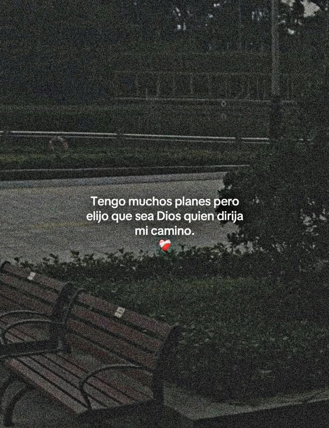 Tengo muchos planes pero elijo que sea Dios quien dirija mi camino