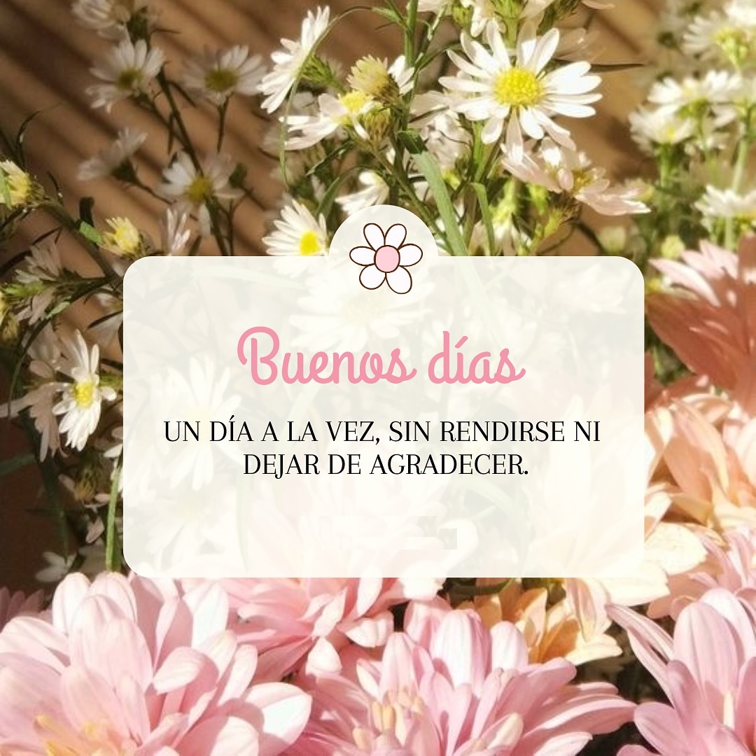Buenos días Un día a la vez, sin rendirse ni dejar de agradecer