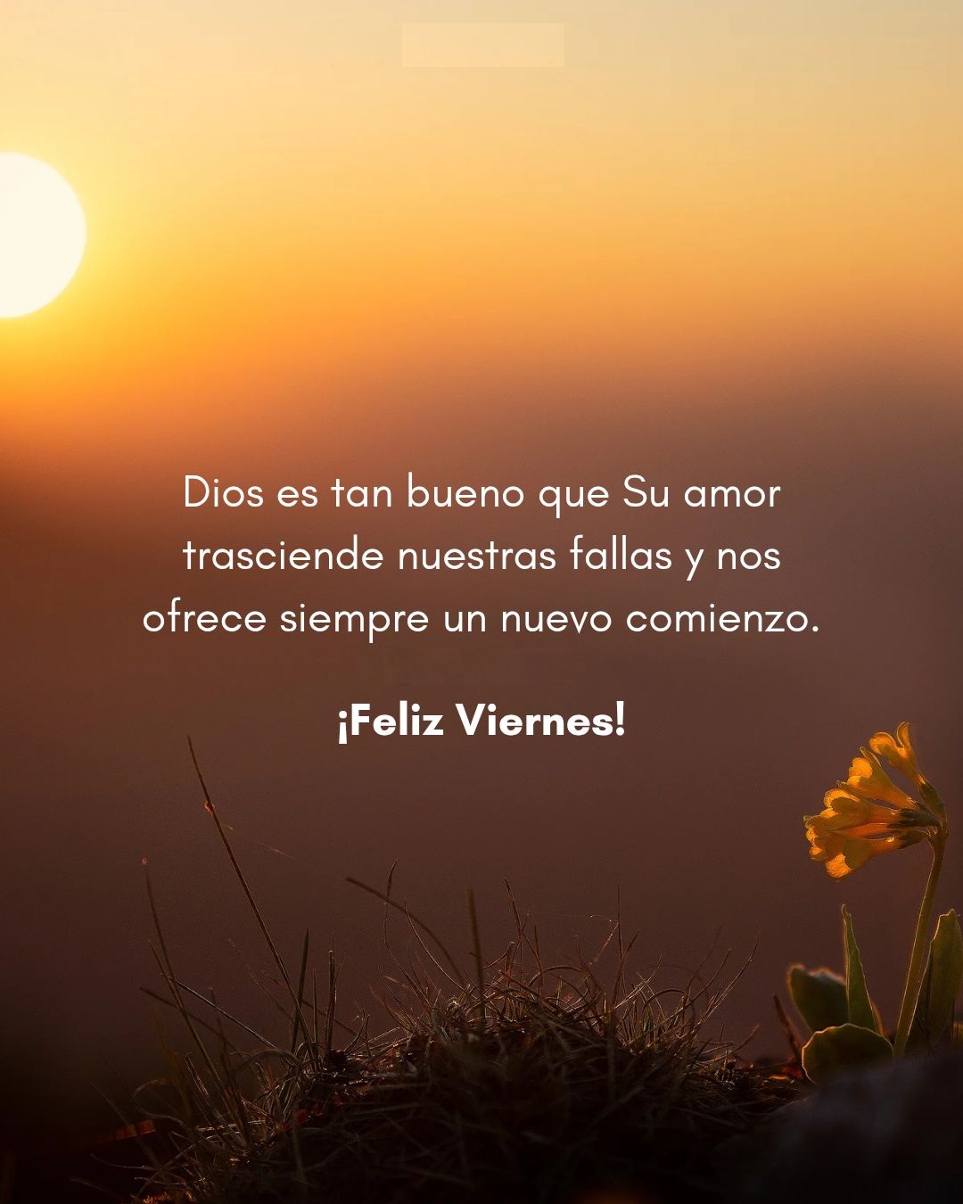 Dios es tan bueno que su amor trasciende nuestras fallas