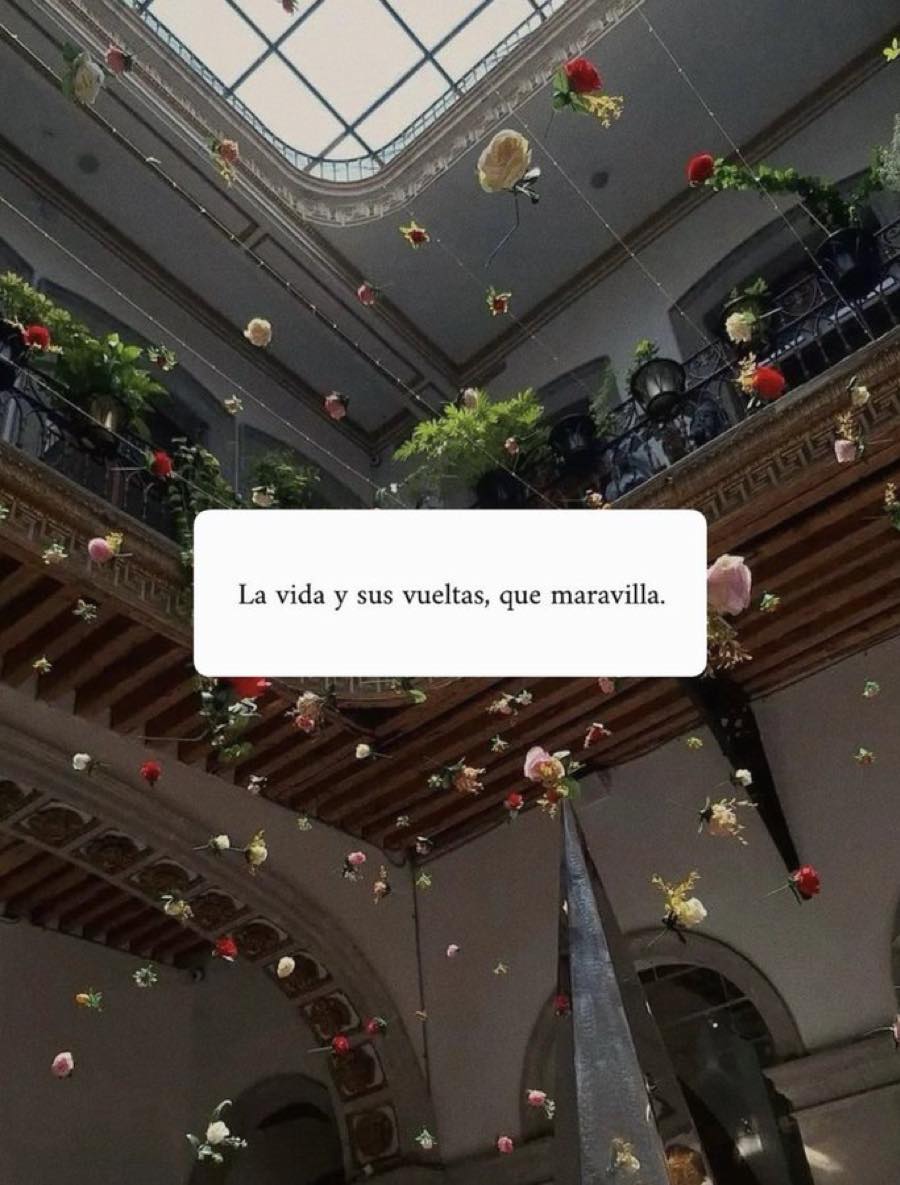 La vida y sus vueltas, que maravilla