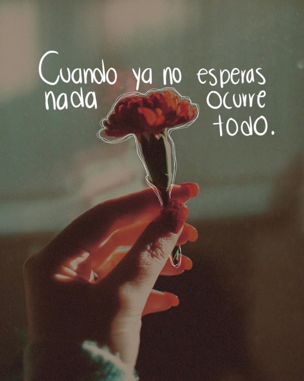 Cuando ya no esperas nada ocurre todo