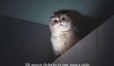 Mi mayor defecto es que nunca pido ayuda