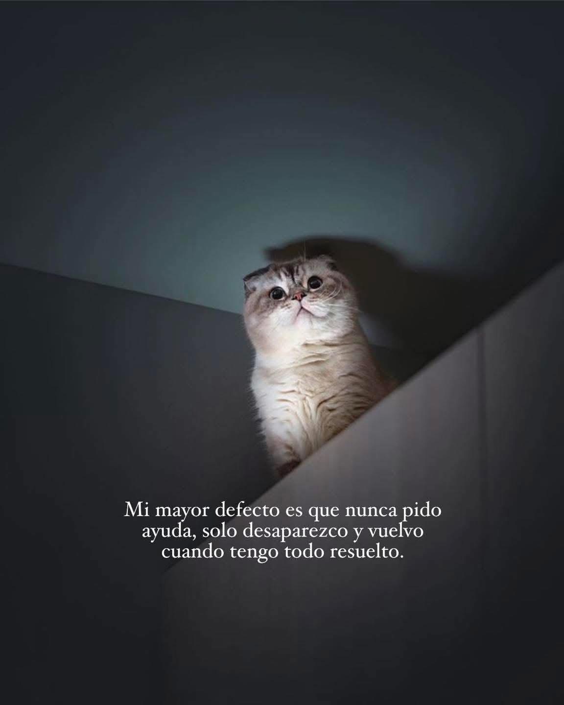Mi mayor defecto es que nunca pido ayuda
