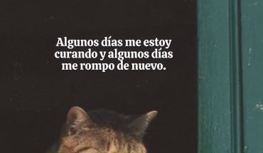 Algunos días me estoy curando y algunos días me rompo de nuevo