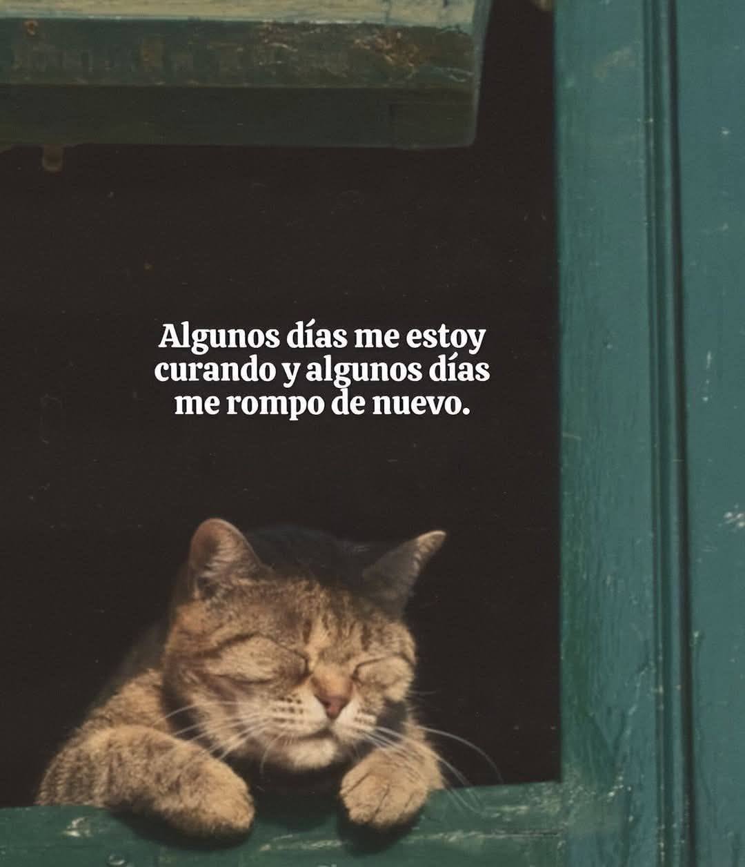 Algunos días me estoy curando y algunos días me rompo de nuevo