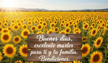 Buenos días, Excelente martes para ti y tu familia. Bendiciones