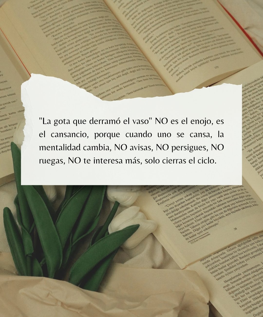La gota que derramó el vaso" NO es el enojo, es el cansancio