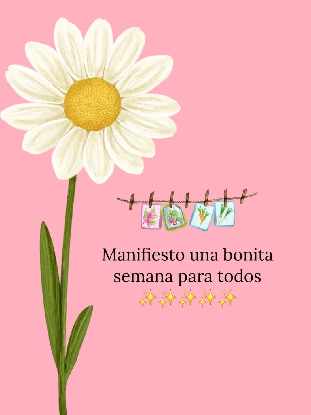 Manifiesto una bonita semana para todos