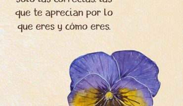 No necesitas a muchas personas para ser feliz, solo las correctas